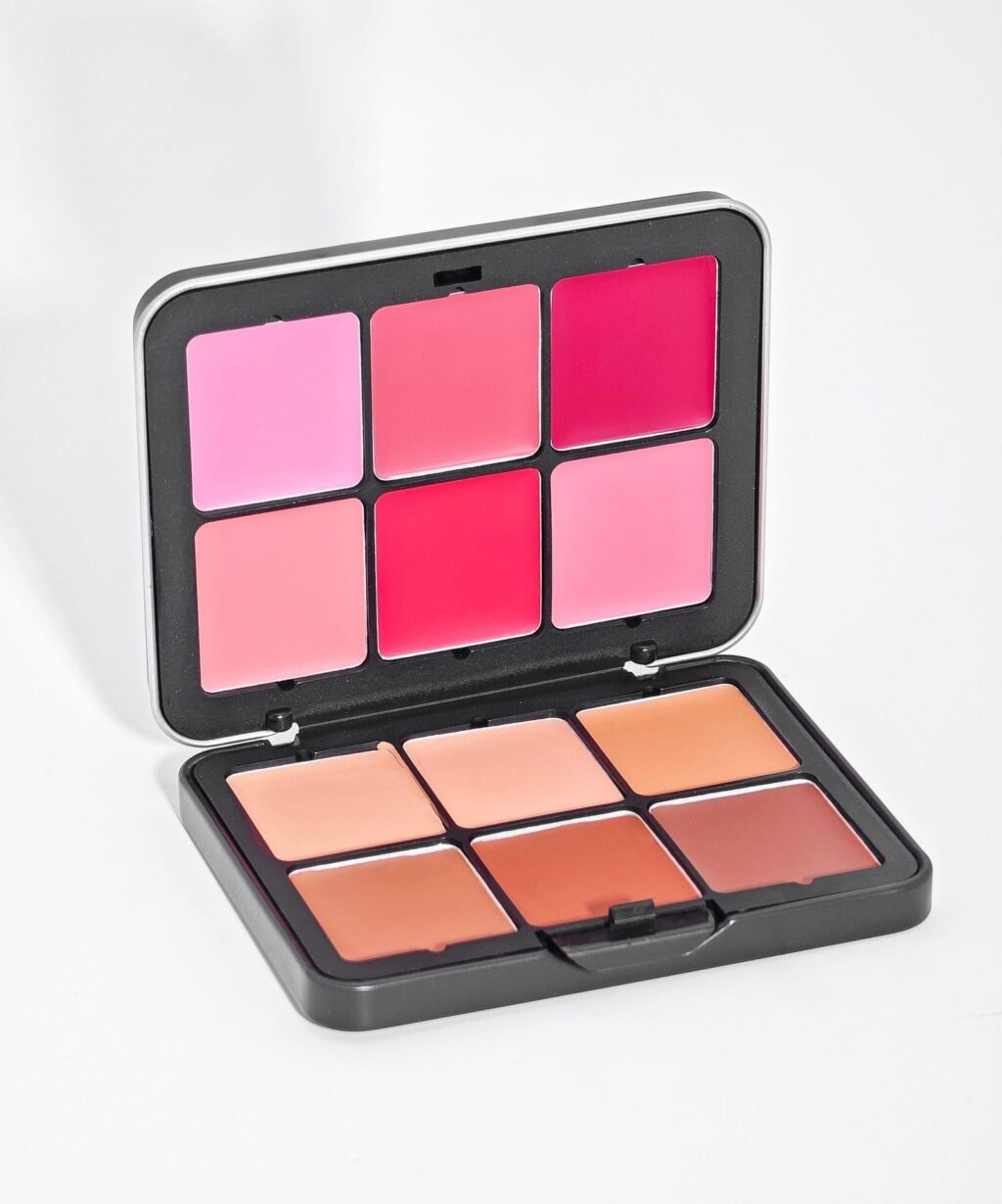 Carla Secret Concealer & Blush Cream Palette